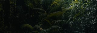 banner origins03