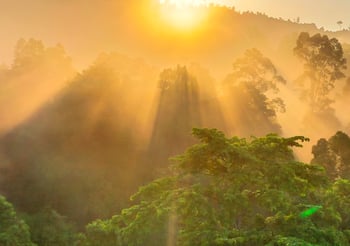 lorsust23 sunrise 640x450