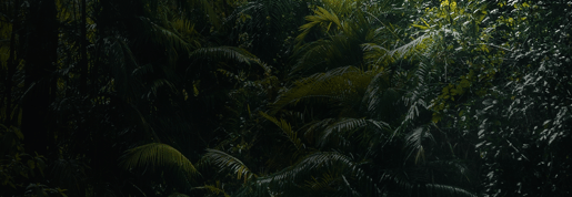 banner origins03