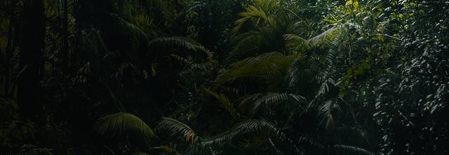 banner origins03